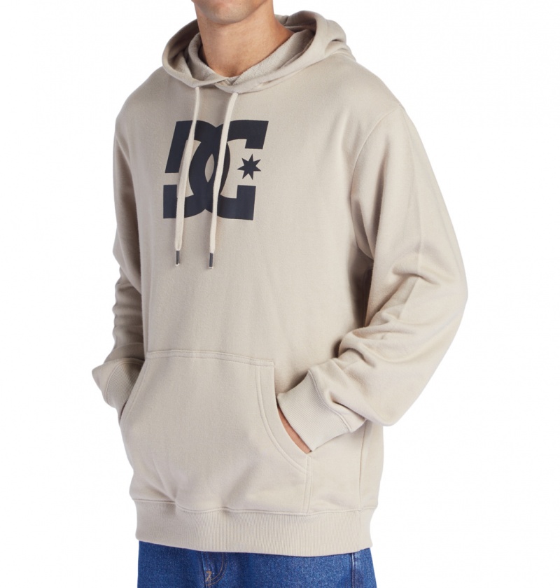 Plaza Taupe DC Shoes DC Star - Hoodie | 873LJIAWN