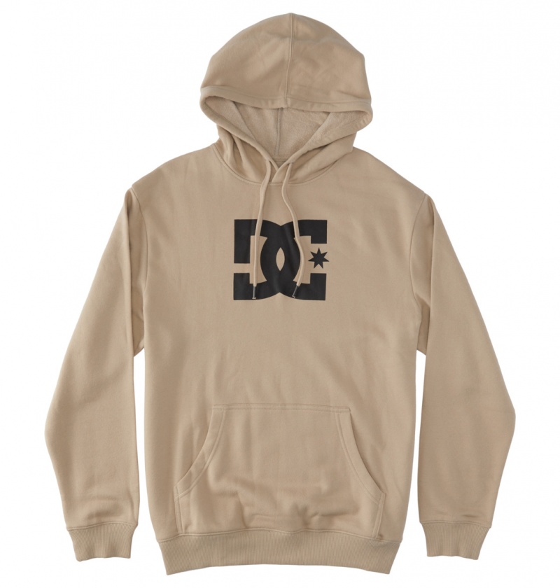 Plaza Taupe DC Shoes DC Star - Hoodie | 873LJIAWN