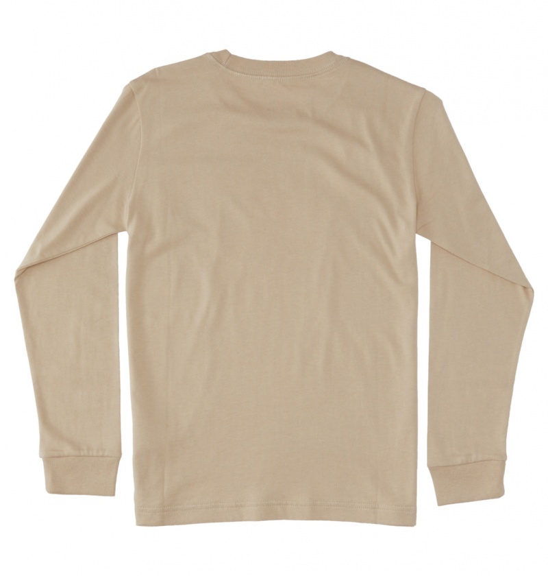 Plaza Taupe DC Shoes DC Star - Long Sleeve T-Shirt | 621AFMGBL