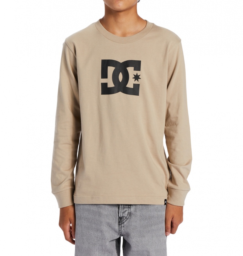 Plaza Taupe DC Shoes DC Star - Long Sleeve T-Shirt | 621AFMGBL