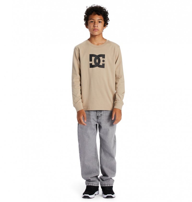 Plaza Taupe DC Shoes DC Star - Long Sleeve T-Shirt | 621AFMGBL