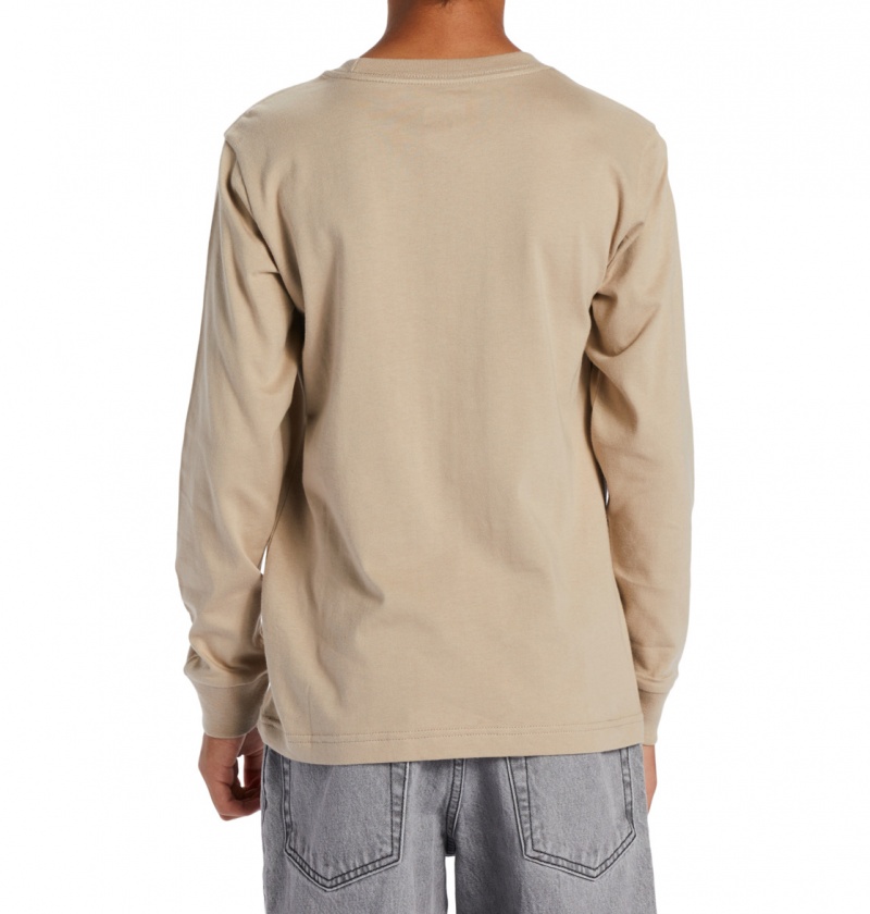 Plaza Taupe DC Shoes DC Star - Long Sleeve T-Shirt | 621AFMGBL