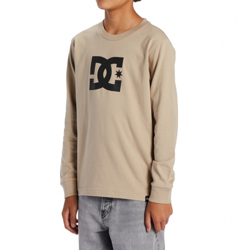 Plaza Taupe DC Shoes DC Star - Long Sleeve T-Shirt | 621AFMGBL