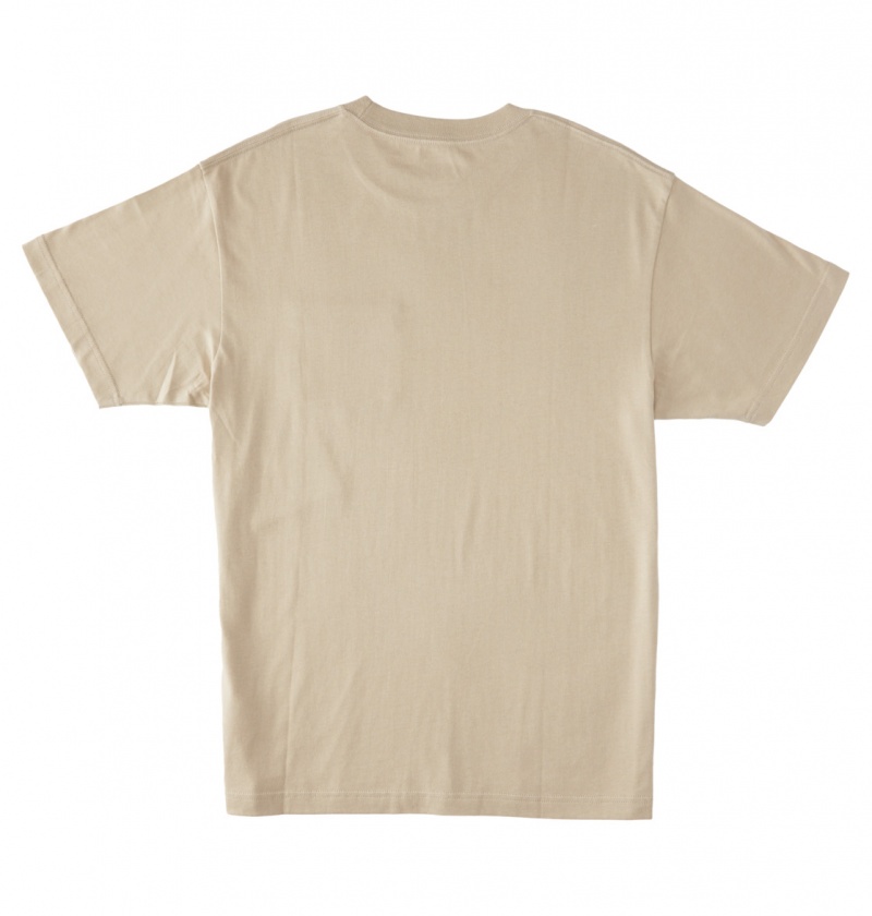 Plaza Taupe DC Shoes DC Star - T-Shirt | 248YZIENX