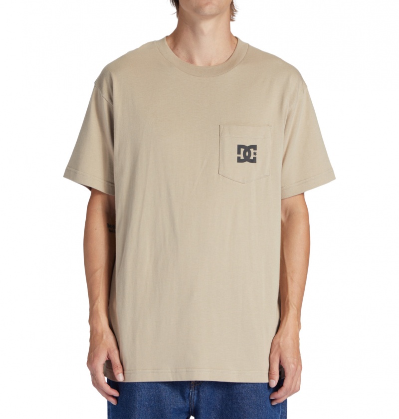 Plaza Taupe DC Shoes DC Star - T-Shirt | 248YZIENX