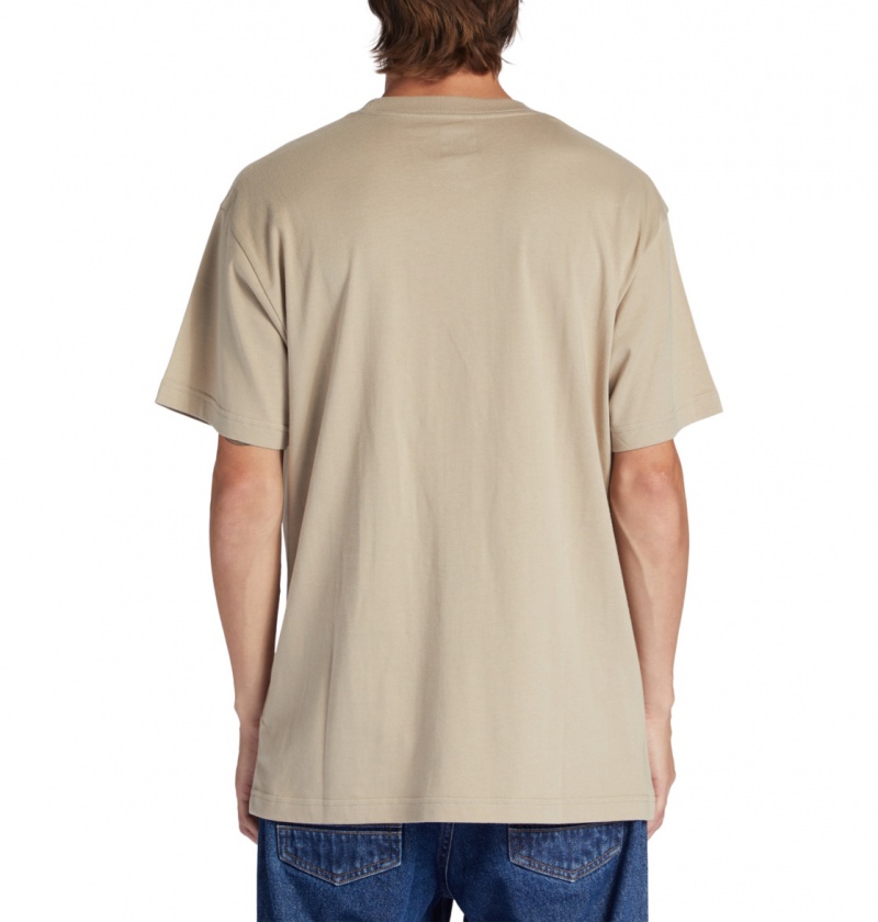 Plaza Taupe DC Shoes DC Star - T-Shirt | 248YZIENX