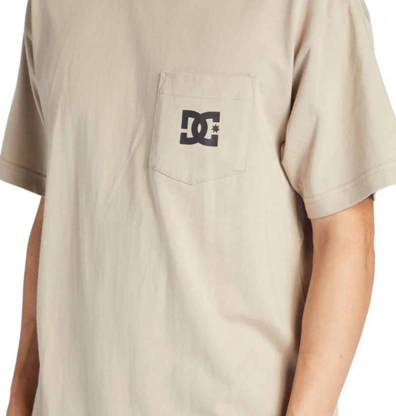 Plaza Taupe DC Shoes DC Star - T-Shirt | 248YZIENX