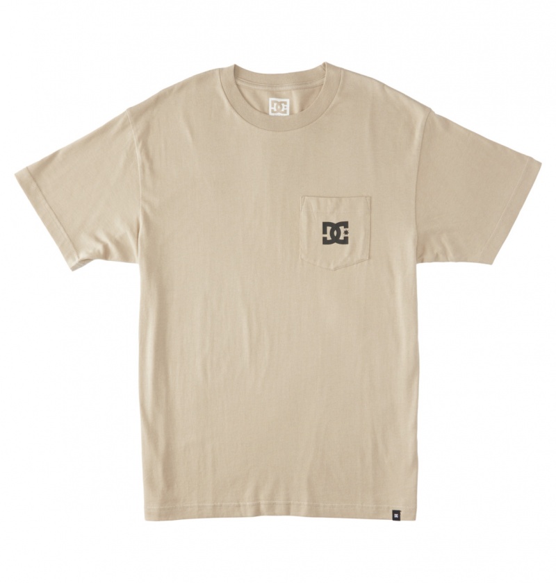 Plaza Taupe DC Shoes DC Star - T-Shirt | 248YZIENX