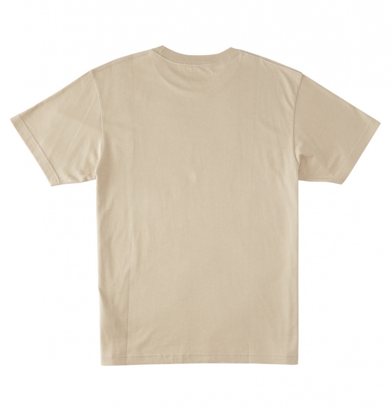 Plaza Taupe DC Shoes Happy Hour - T-Shirt | 105CDFRLB