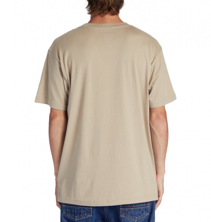 Plaza Taupe DC Shoes Happy Hour - T-Shirt | 105CDFRLB