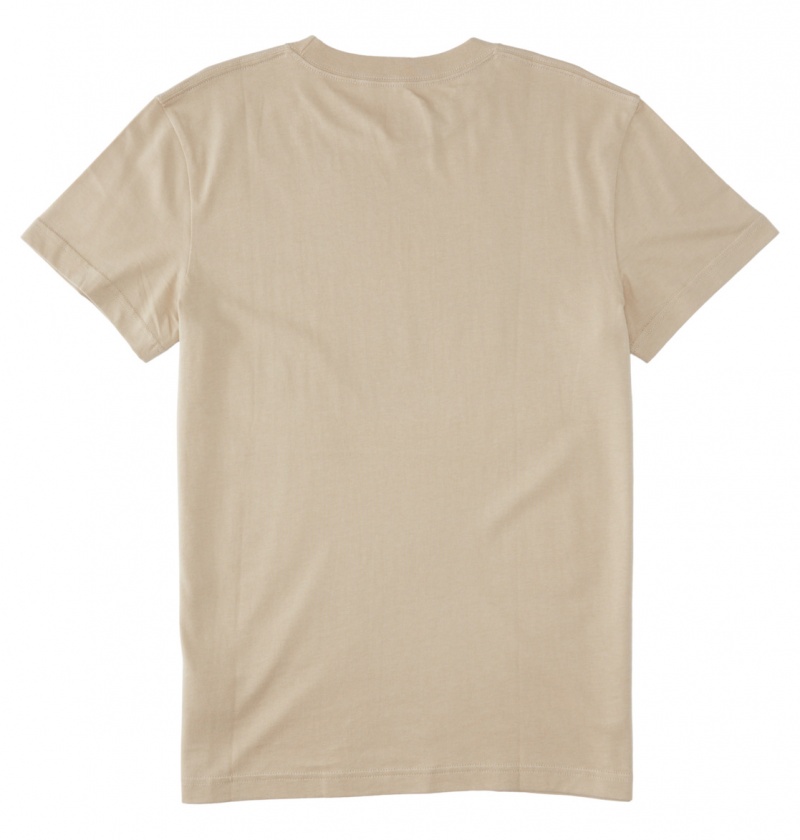 Plaza Taupe DC Shoes Outdoorsman - T-Shirt | 270YXPHQR