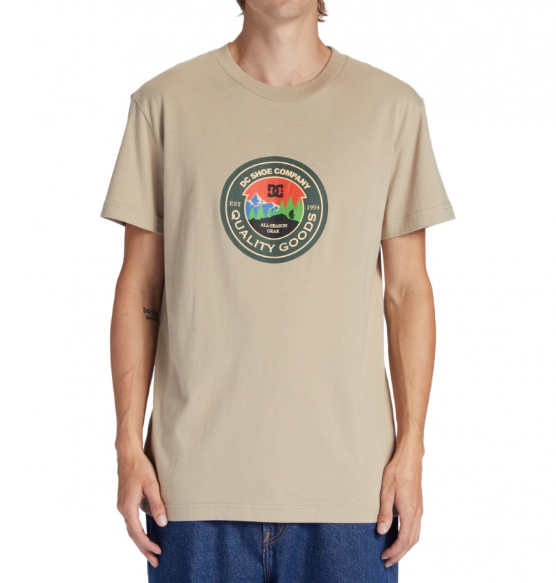 Plaza Taupe DC Shoes Outdoorsman - T-Shirt | 270YXPHQR