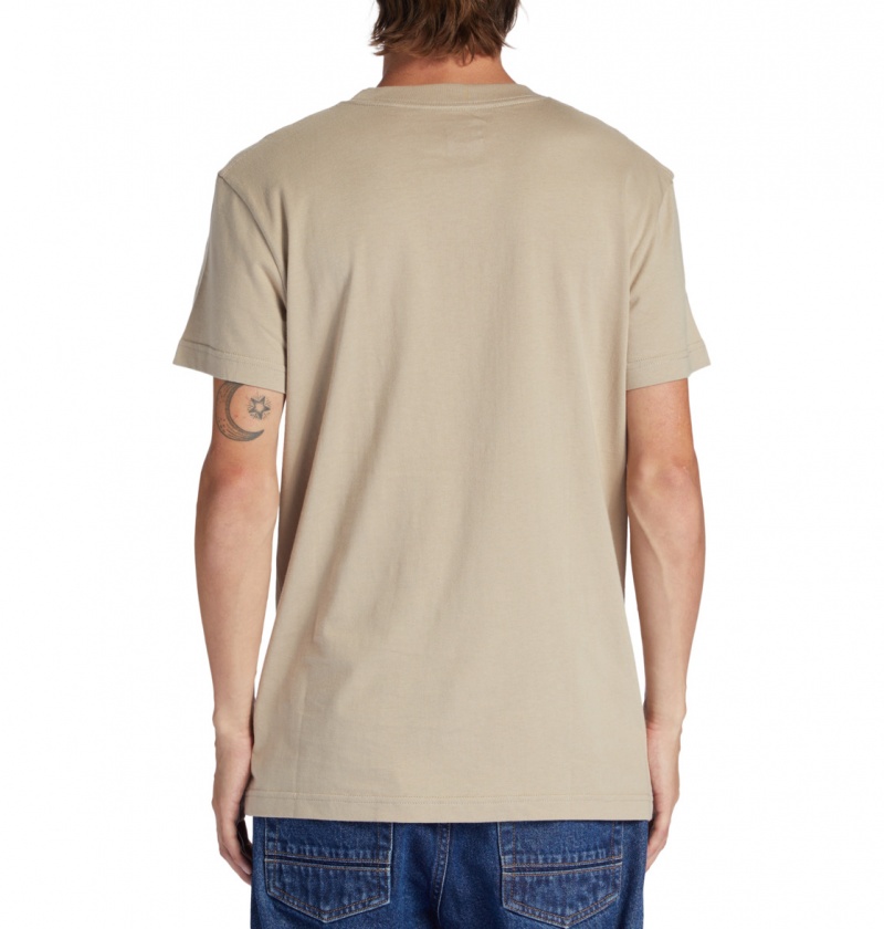 Plaza Taupe DC Shoes Outdoorsman - T-Shirt | 270YXPHQR