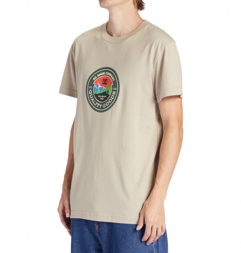 Plaza Taupe DC Shoes Outdoorsman - T-Shirt | 270YXPHQR