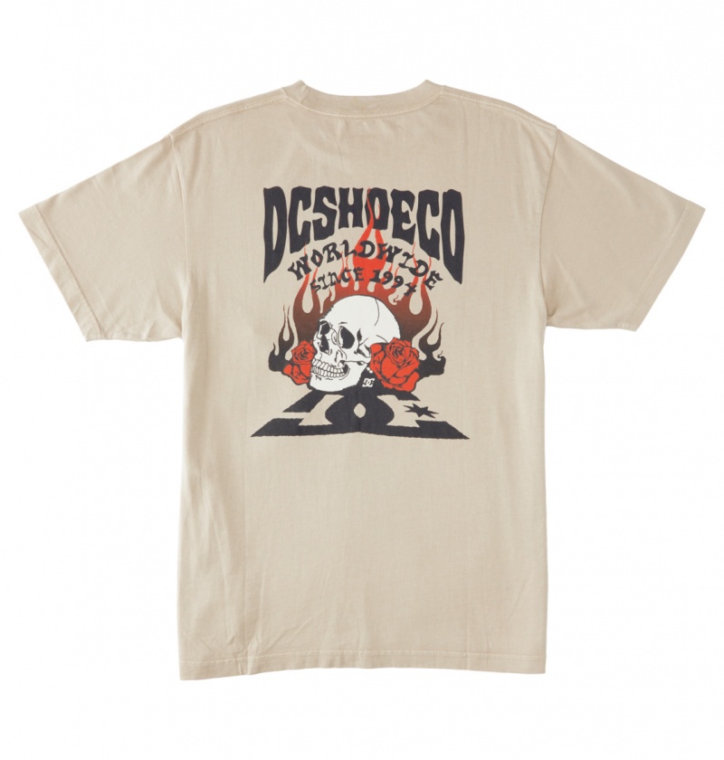 Plaza Taupe Enzyme Wash DC Shoes Defiant - T-Shirt | 780TJSZXR