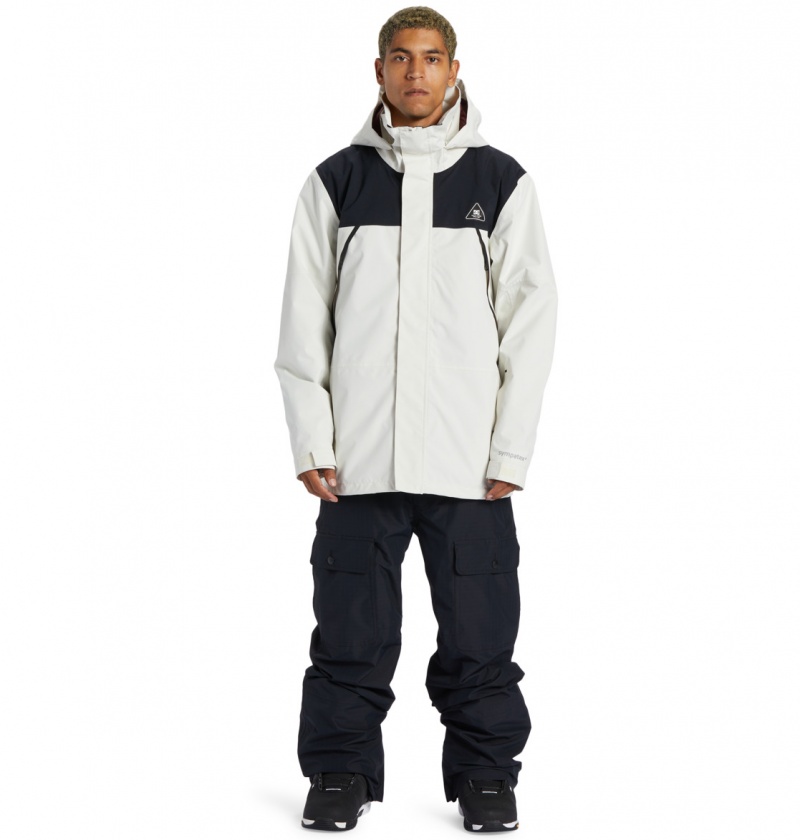 Silver Birch DC Shoes Command 45K - Technical Snow Jacket | 086GMSTDU