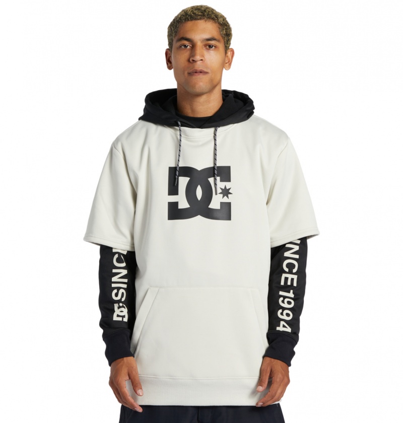 Silver Birch DC Shoes Dryden - Technical Hoodie | 376FKDNXT