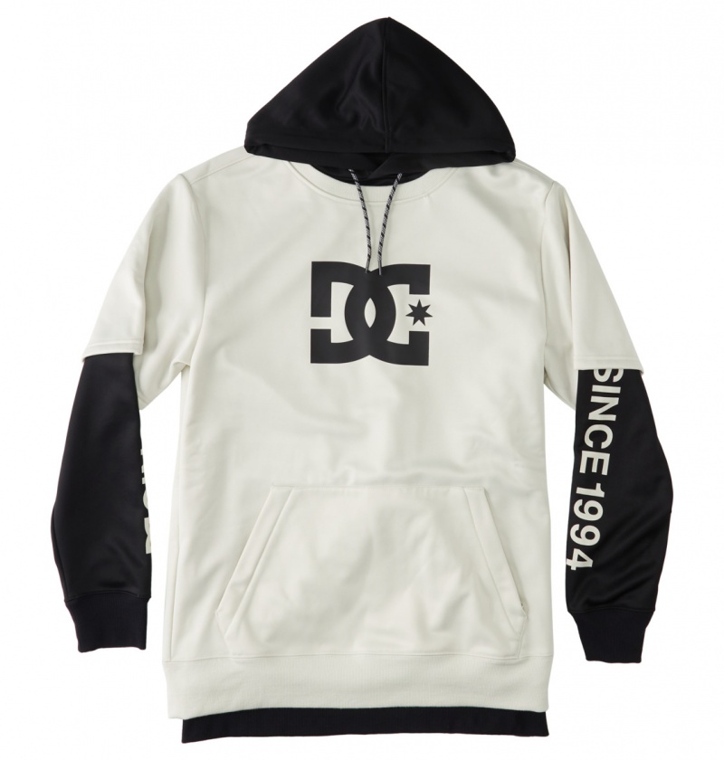 Silver Birch DC Shoes Dryden - Technical Hoodie | 376FKDNXT