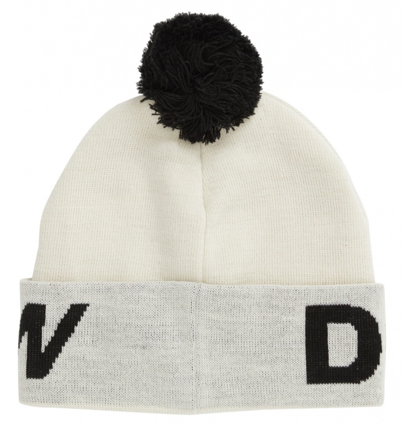 Silver Birch DC Shoes Gambol - Beanie | 584DEOZTL