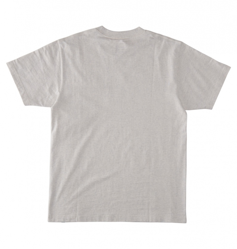 Snow Heather DC Shoes Chrome - T-Shirt | 758WKUISG