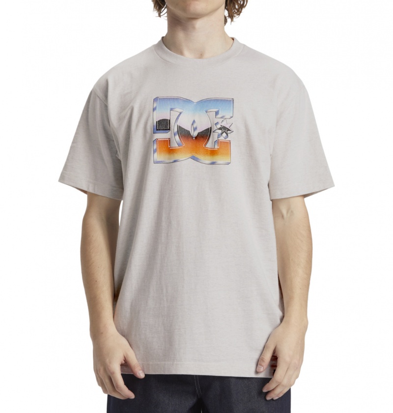 Snow Heather DC Shoes Chrome - T-Shirt | 758WKUISG