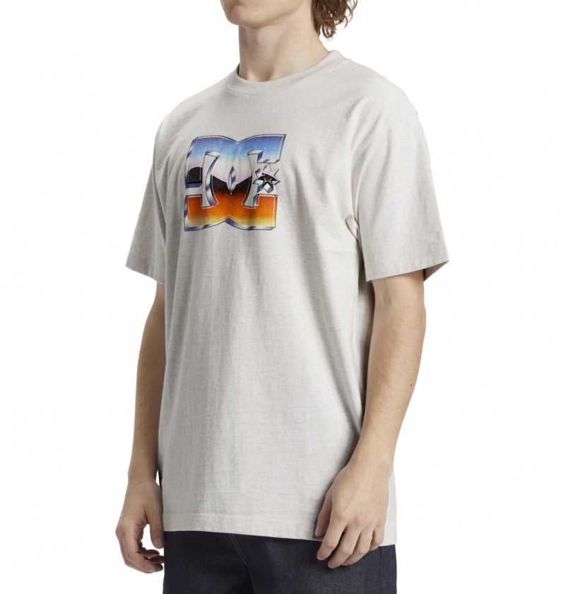 Snow Heather DC Shoes Chrome - T-Shirt | 758WKUISG