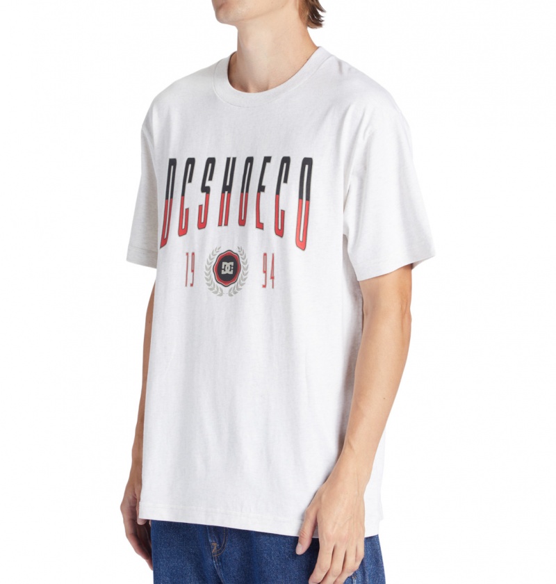 Snow Heather DC Shoes Dropout - T-Shirt | 106NHYQGE