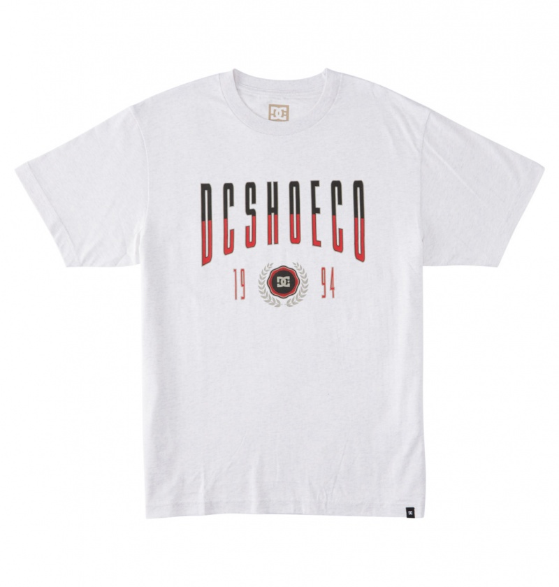 Snow Heather DC Shoes Dropout - T-Shirt | 106NHYQGE