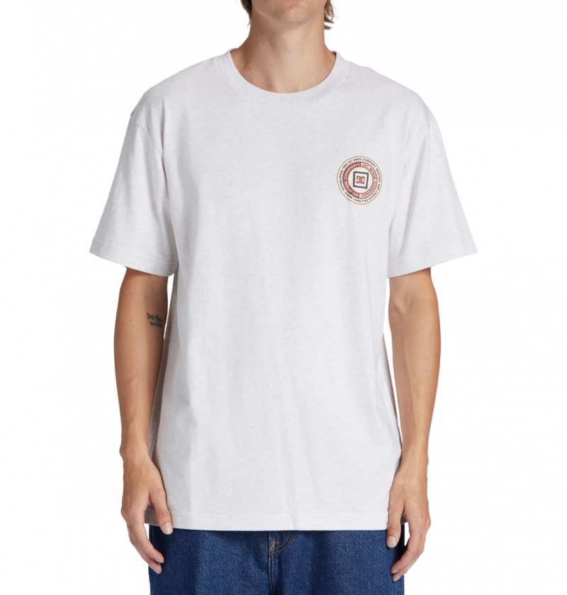 Snow Heather DC Shoes Old Head - T-Shirt | 175ENLYXG