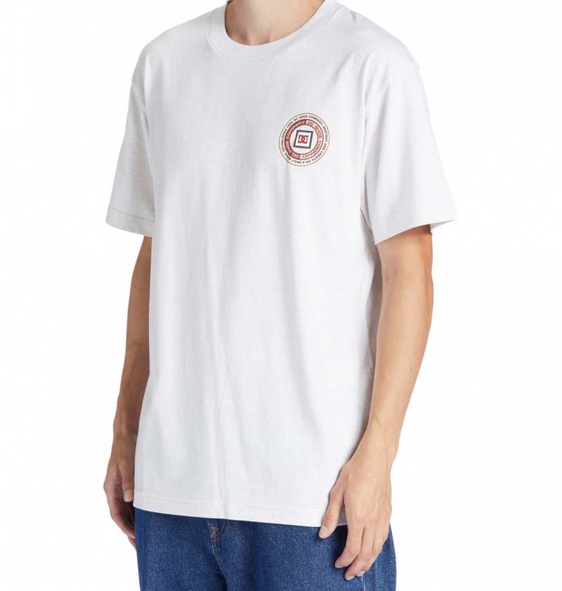 Snow Heather DC Shoes Old Head - T-Shirt | 175ENLYXG