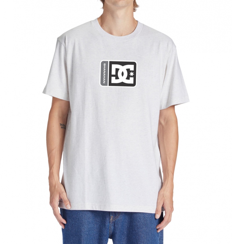 Snow Heather DC Shoes Shanahan - T-Shirt | 168IYLDAP