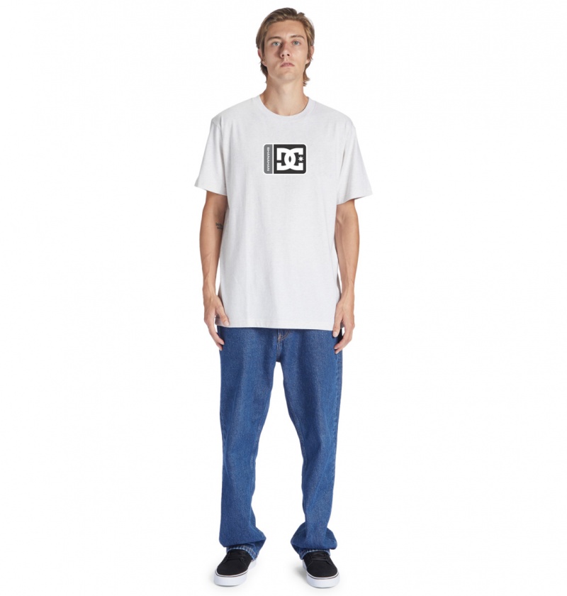 Snow Heather DC Shoes Shanahan - T-Shirt | 168IYLDAP