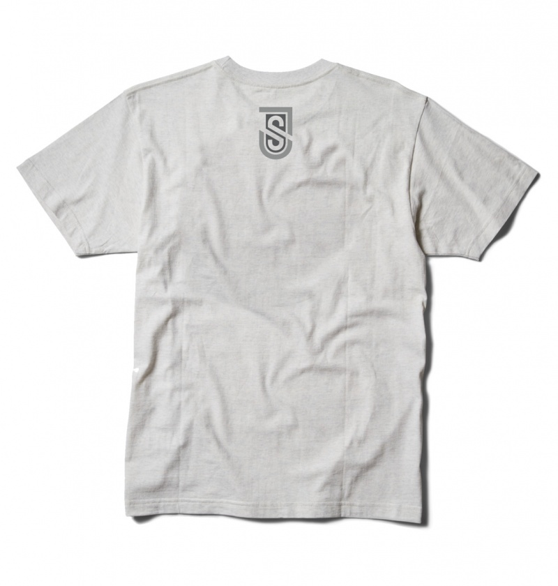 Snow Heather DC Shoes Shanahan - T-Shirt | 168IYLDAP