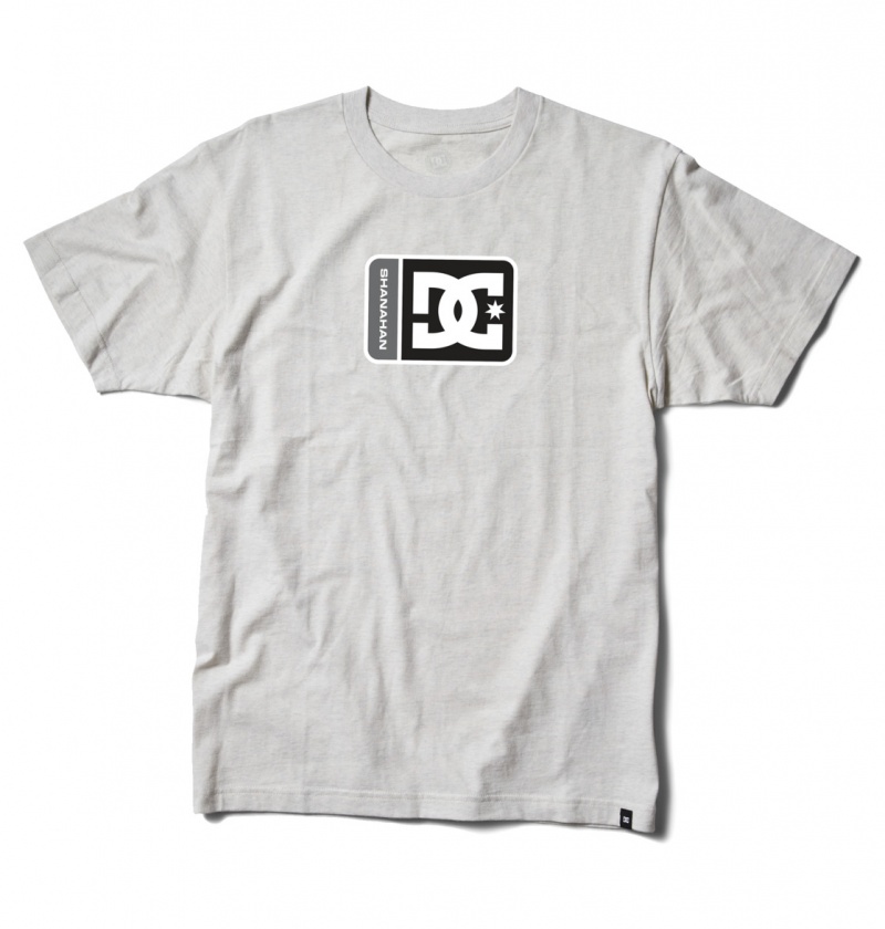 Snow Heather DC Shoes Shanahan - T-Shirt | 168IYLDAP