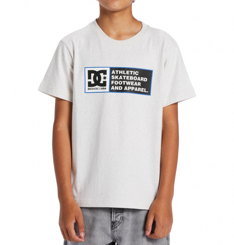 Snow Heather / Nautical Blue DC Shoes DC Density Zone - Short Sleeve T-Shirt 8-16 | 794FLTEMW