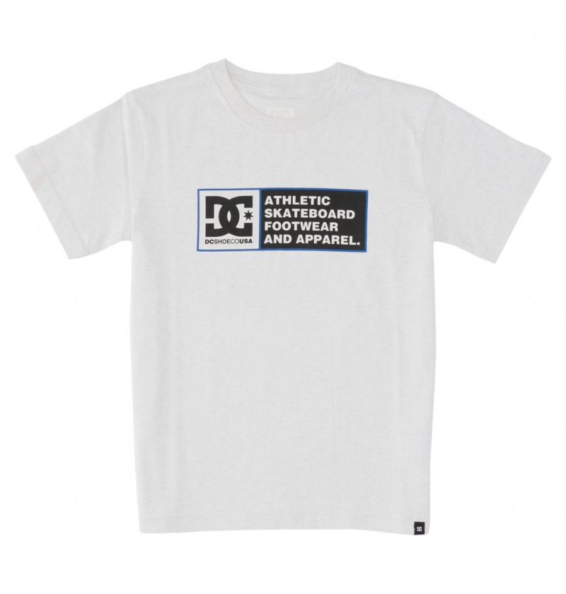 Snow Heather / Nautical Blue DC Shoes DC Density Zone - Short Sleeve T-Shirt 8-16 | 794FLTEMW