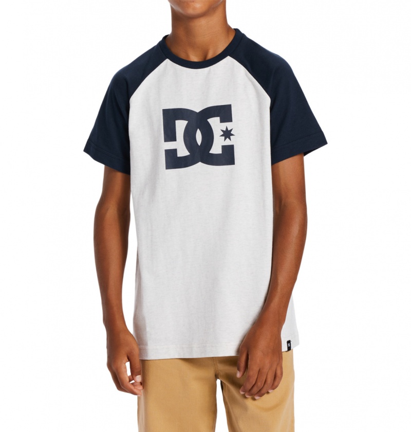 Snow Heather / Navy Blazer DC Shoes DC Star - T-Shirt | 950VWCTUO