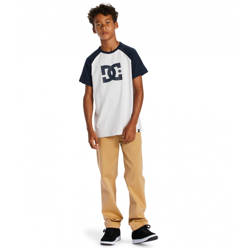 Snow Heather / Navy Blazer DC Shoes DC Star - T-Shirt | 950VWCTUO