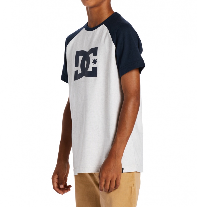 Snow Heather / Navy Blazer DC Shoes DC Star - T-Shirt | 950VWCTUO