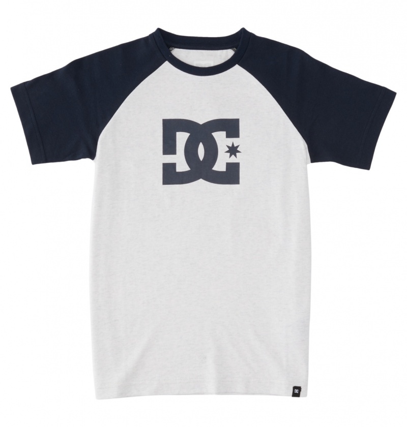 Snow Heather / Navy Blazer DC Shoes DC Star - T-Shirt | 950VWCTUO