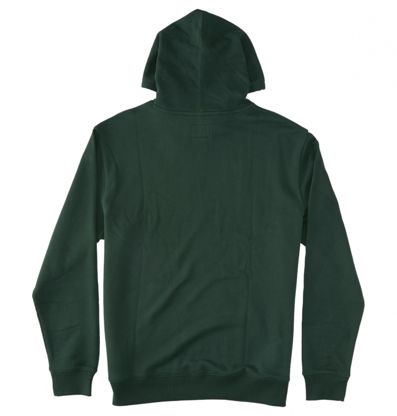 Sycamore DC Shoes DC Star - Hoodie | 204KMJDLT