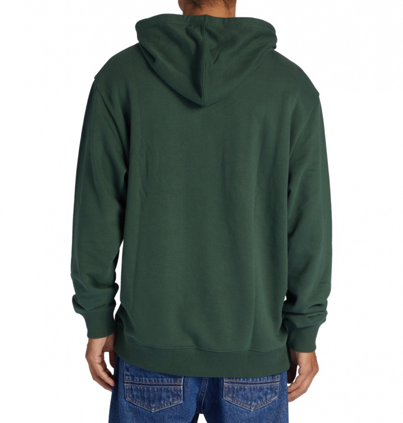 Sycamore DC Shoes DC Star - Hoodie | 204KMJDLT