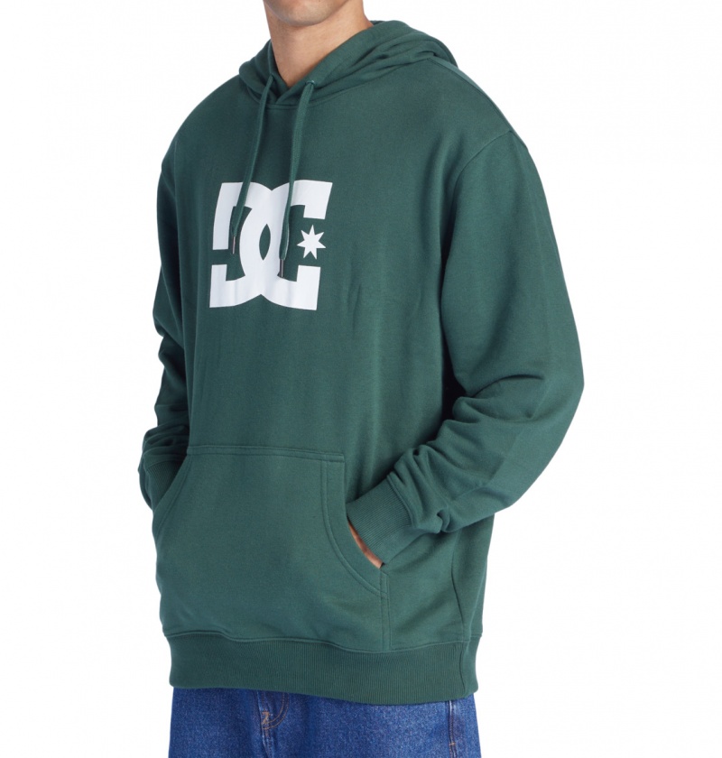 Sycamore DC Shoes DC Star - Hoodie | 204KMJDLT