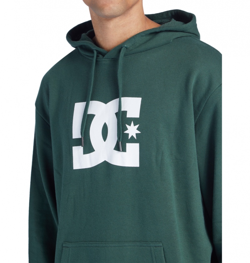 Sycamore DC Shoes DC Star - Hoodie | 204KMJDLT