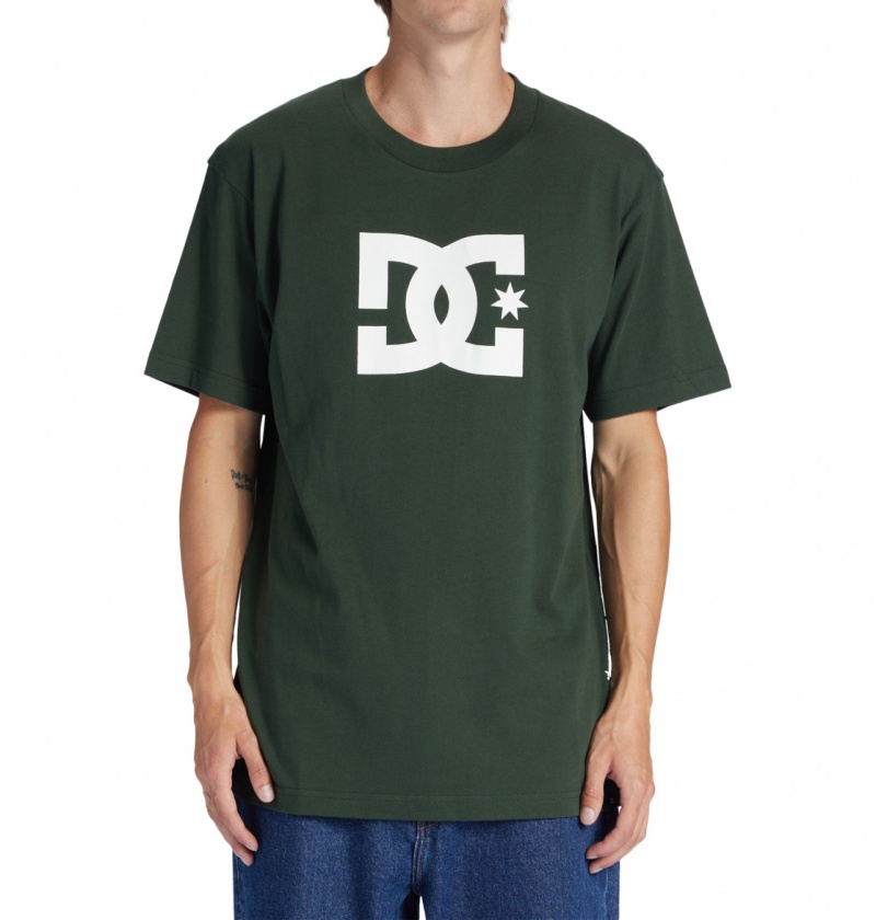 Sycamore DC Shoes DC Star - T-Shirt | 593WOFXZU