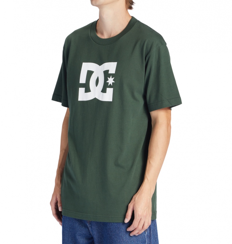 Sycamore DC Shoes DC Star - T-Shirt | 593WOFXZU