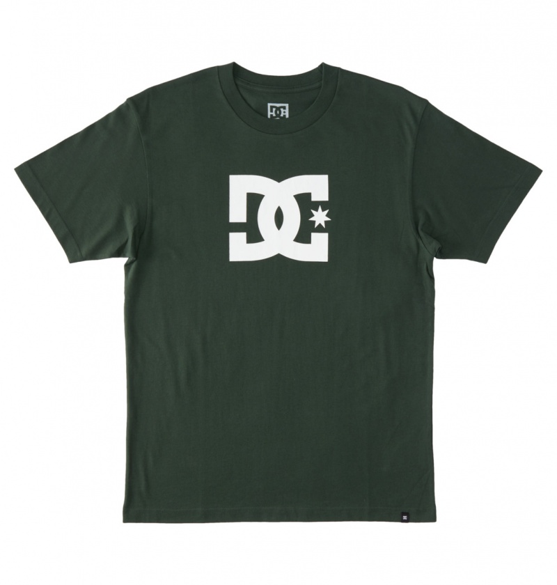 Sycamore DC Shoes DC Star - T-Shirt | 593WOFXZU