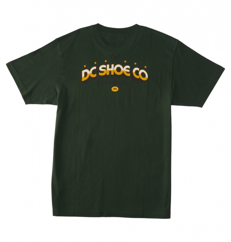 Sycamore DC Shoes Lifes Changing - T-Shirt | 073GBKAQH