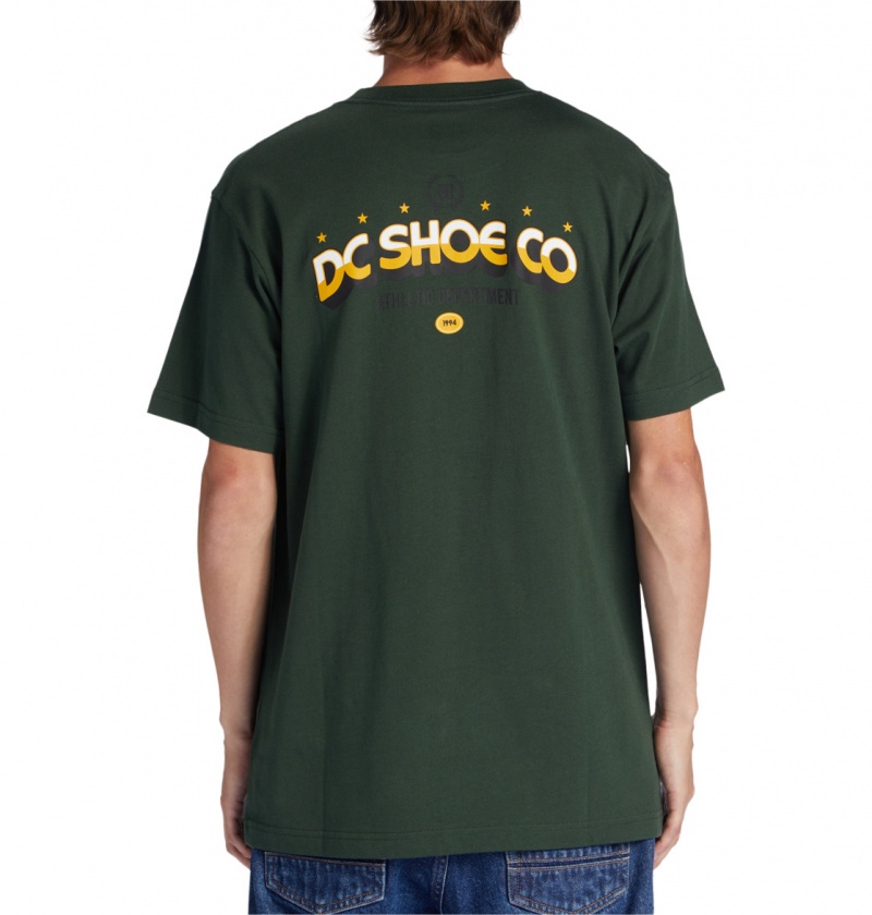 Sycamore DC Shoes Lifes Changing - T-Shirt | 073GBKAQH