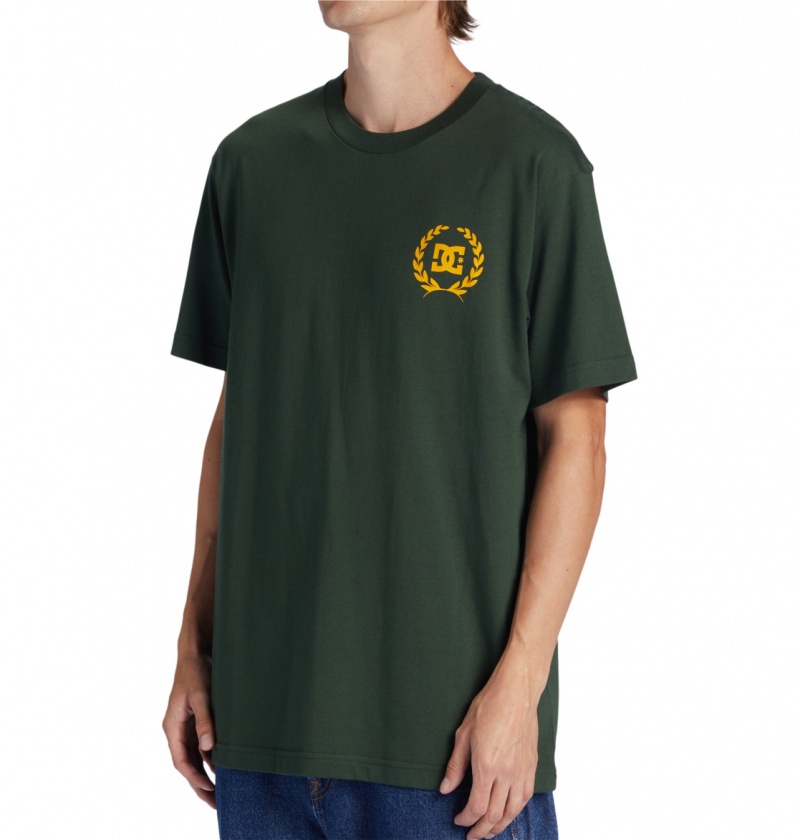 Sycamore DC Shoes Lifes Changing - T-Shirt | 073GBKAQH